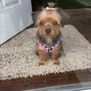 Meet your Posher, Sheila